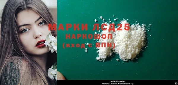 хмурый Аркадак