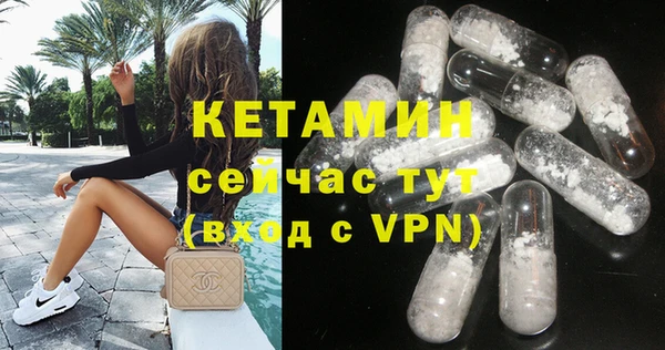 хмурый Аркадак