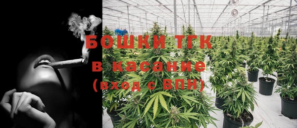 хмурый Аркадак