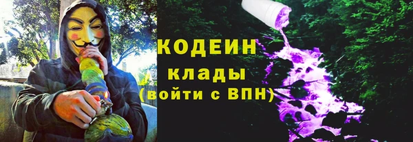 хмурый Аркадак