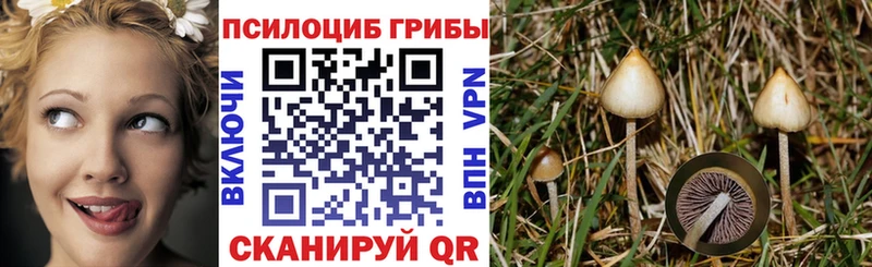 Псилоцибиновые грибы ЛСД  наркотики  Перевоз 